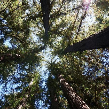 Riverside Campground & Cabins Big Sur Exteriör bild