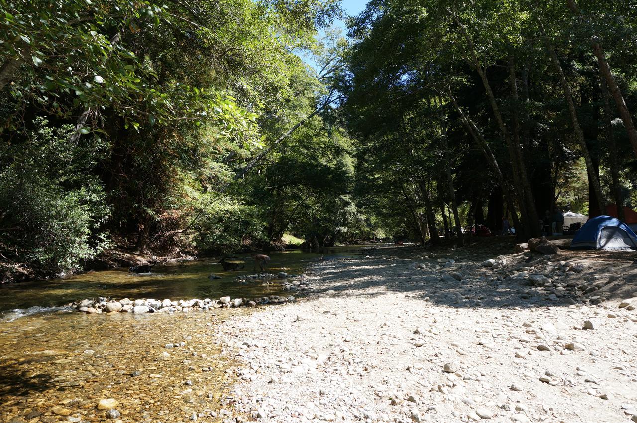 Riverside Campground & Cabins Big Sur Exteriör bild