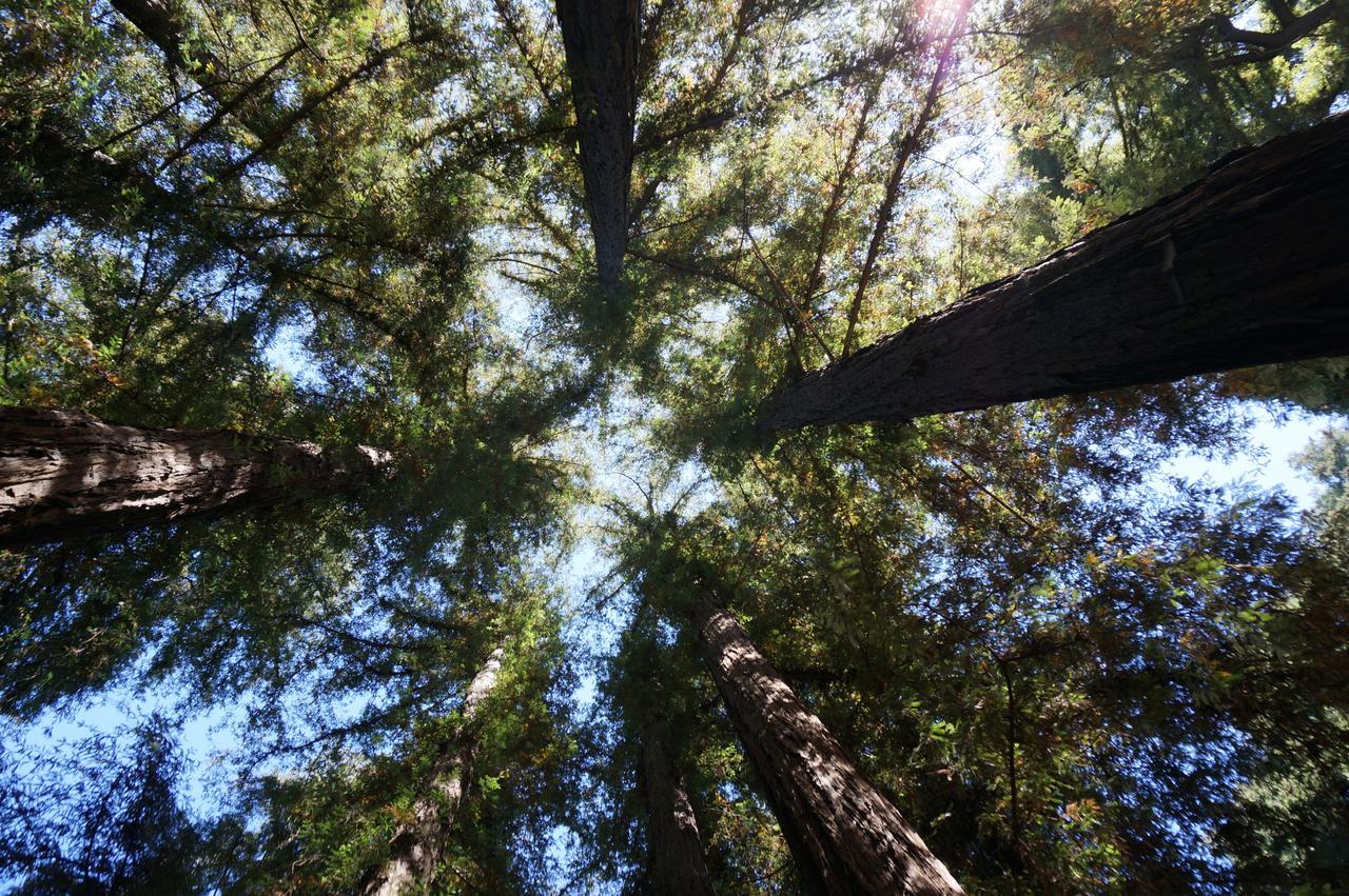 Riverside Campground & Cabins Big Sur Exteriör bild